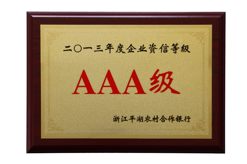 2013 Enterprise credit rating AAA level